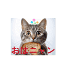 昭和グルメの猫ちゃんの一日にゃん語（個別スタンプ：1）
