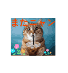 昭和グルメの猫ちゃんの一日にゃん語（個別スタンプ：4）