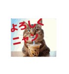 昭和グルメの猫ちゃんの一日にゃん語（個別スタンプ：5）