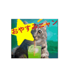 昭和グルメの猫ちゃんの一日にゃん語（個別スタンプ：16）