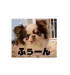 べるもぐららちゃん（個別スタンプ：1）