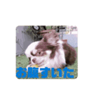べるもぐららちゃん（個別スタンプ：2）