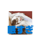 べるもぐららちゃん（個別スタンプ：3）