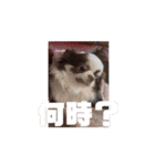べるもぐららちゃん（個別スタンプ：6）