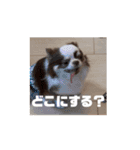 べるもぐららちゃん（個別スタンプ：7）