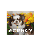 べるもぐららちゃん（個別スタンプ：9）