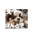 べるもぐららちゃん（個別スタンプ：11）