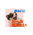 べるもぐららちゃん（個別スタンプ：12）