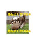 べるもぐららちゃん（個別スタンプ：13）