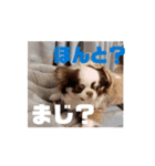 べるもぐららちゃん（個別スタンプ：16）