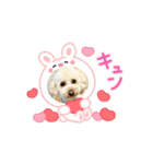 かわいいポッちゃん（個別スタンプ：1）