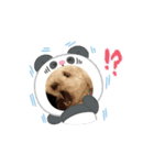 かわいいポッちゃん（個別スタンプ：3）