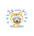 かわいいポッちゃん（個別スタンプ：6）