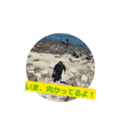 こちょりん03（個別スタンプ：5）