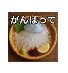 クラゲの活け造り（個別スタンプ：11）