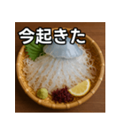 クラゲの活け造り（個別スタンプ：13）
