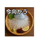 クラゲの活け造り（個別スタンプ：26）