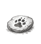 動物の痕跡標本（個別スタンプ：1）