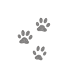 動物の痕跡標本（個別スタンプ：30）