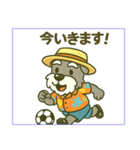 夏のシュナスタンプ（個別スタンプ：6）