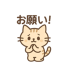 表情ゆたか♪やさしいねこスタンプ（個別スタンプ：5）