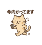 表情ゆたか♪やさしいねこスタンプ（個別スタンプ：17）