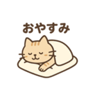 表情ゆたか♪やさしいねこスタンプ（個別スタンプ：19）