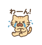 表情ゆたか♪やさしいねこスタンプ（個別スタンプ：26）