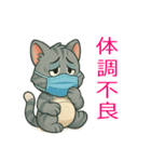 かわいい 子猫ちゃん ねこ（個別スタンプ：13）