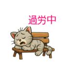 かわいい 子猫ちゃん ねこ（個別スタンプ：20）