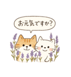 ゆるねこのほんわか毎日スタンプ③（個別スタンプ：2）