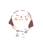 ゆるいシマエもん（個別スタンプ：33）