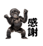 (超便利)赤ちゃんゴリラの脱力系スタンプ♪（個別スタンプ：10）
