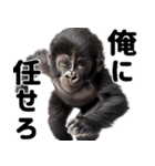 (超便利)赤ちゃんゴリラの脱力系スタンプ♪（個別スタンプ：17）