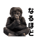 (超便利)赤ちゃんゴリラの脱力系スタンプ♪（個別スタンプ：19）