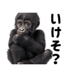 (超便利)赤ちゃんゴリラの脱力系スタンプ♪（個別スタンプ：26）