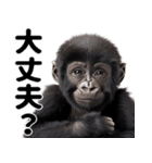 (超便利)赤ちゃんゴリラの脱力系スタンプ♪（個別スタンプ：31）