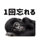 (超便利)赤ちゃんゴリラの脱力系スタンプ♪（個別スタンプ：39）