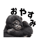 (超便利)赤ちゃんゴリラの脱力系スタンプ♪（個別スタンプ：40）