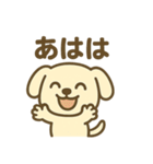 ほっこりわんこの表情豊か40種スタンプ（個別スタンプ：1）