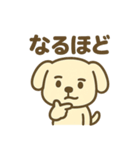 ほっこりわんこの表情豊か40種スタンプ（個別スタンプ：2）