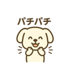 ほっこりわんこの表情豊か40種スタンプ（個別スタンプ：9）