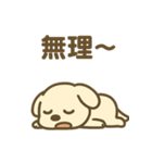 ほっこりわんこの表情豊か40種スタンプ（個別スタンプ：13）