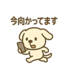 ほっこりわんこの表情豊か40種スタンプ（個別スタンプ：14）