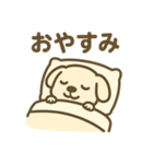 ほっこりわんこの表情豊か40種スタンプ（個別スタンプ：16）