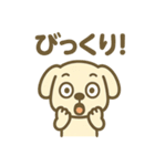 ほっこりわんこの表情豊か40種スタンプ（個別スタンプ：17）