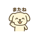 ほっこりわんこの表情豊か40種スタンプ（個別スタンプ：23）