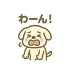 ほっこりわんこの表情豊か40種スタンプ（個別スタンプ：27）