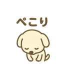 ほっこりわんこの表情豊か40種スタンプ（個別スタンプ：34）