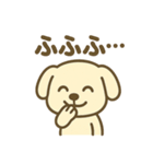 ほっこりわんこの表情豊か40種スタンプ（個別スタンプ：37）